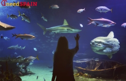 The Barcelona Aquarium